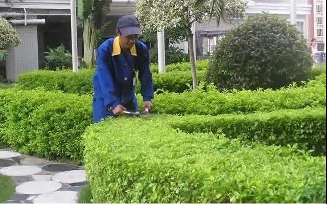 園林綠化工程施工常見(jiàn)誤區(qū)，您中招了嗎?