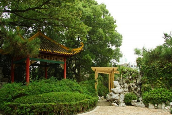 如何讓土地“變肥”，讓樹苗“夠吃”？