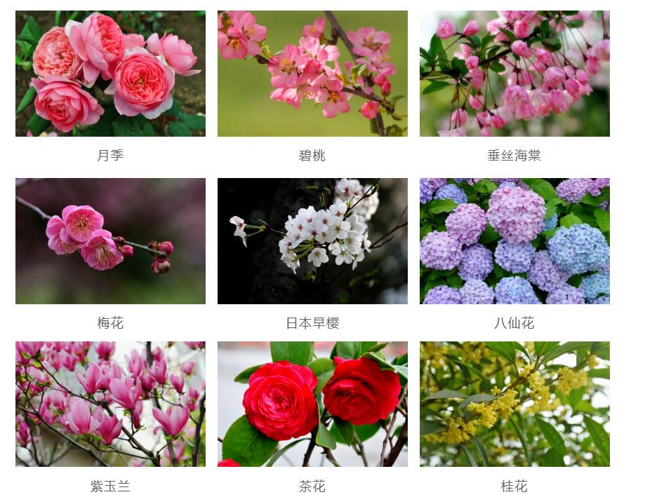 園林景觀工程如何節(jié)約成本？