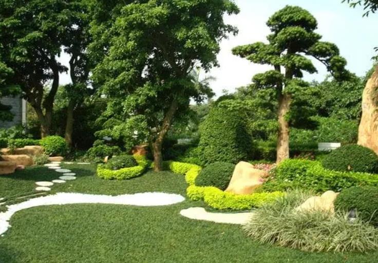 園林景觀設計之植物墻設計在哪些地方適合？