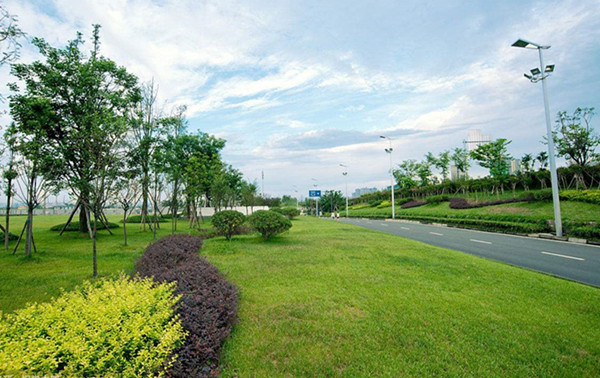 談一談襄陽(yáng)道路綠化景觀設(shè)計(jì)的特點(diǎn)有哪些